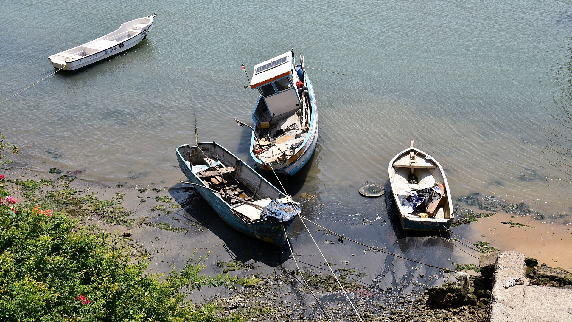 Dhow sailing — scenic sails across the creek
